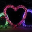 프로방스 포토랜드 이미지