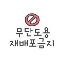 스위스장 이미지