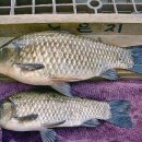 노은초 수상분교 이미지