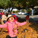 보람어린이집 이미지