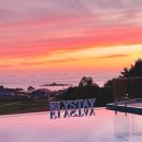 엘리스테이보령 이미지