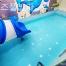 퐁당 키즈 이미지