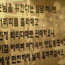서래갈매기 이미지
