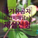 신증행정사 이미지
