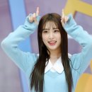 포토조아 이미지