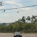 매송고색로794번길 이미지