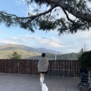 오늘하루 애견 동반 스파펜션 | 양평 애견동반 숙소 ‘오늘하루고마웠다’ 독채펜션 내돈내산 가족여행 후기