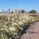 경충대로2709번길 이미지