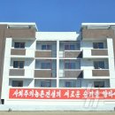 새솔농장 이미지