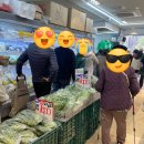 총각네과일;야채