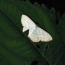 신선약수터 이미지