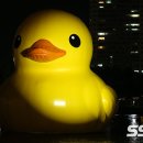 덕