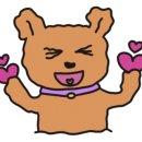 한성회계법인