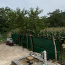 삼척다리실펜션 | 강원도 삼척 촌캉스하기 좋은 독채펜션 &#34;다리실 펜션&#34; 내돈내산 이용후기