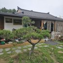 신대박공인중개사사무소 | [화요부동산특집] 창녕 남지 전원주택: 예술과 자연이 공존하는 힐링하우스