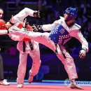 월드태권도 이미지