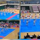 STN태권도장 네이버블로그
