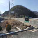 펜션카페윤앤박 이미지