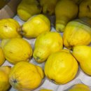 제일그린마트 | 포르투갈 대표 마트 핑고도세 장보기 후기_유럽 현지 마트 물가 체감