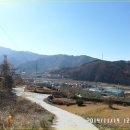 꿩대신닭 이미지