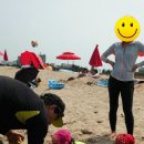 세솔팬션 이미지