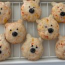 댕댕파티 이미지