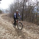 일MTB 이미지