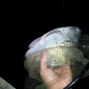 앵남낚시터 이미지