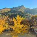 또아리하우스 이미지