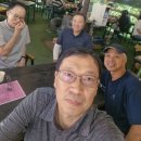 진태상회 이미지