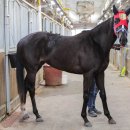 브리더스 퀄리티 이미지