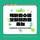 우리가족 토요테라피 2 | 🌿 육아 필수템! 오일테라피 효과와 도테라코리아 방문 후기 (꿀잠 보장!)