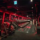 라이언 휘트니스 이미지