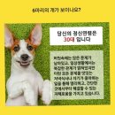 요거해