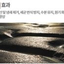 쁘띠몽 이미지
