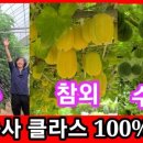 송림농원 이미지