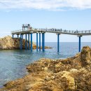 강원 고성 백섬해상전망대 이미지