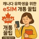 알뜰수퍼 | 캐나다 유학, 워홀 esim/ 캐나다 유학생을 위한 eSIM 개통 꿀팁 – 수퍼셀 이용 후기