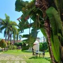 도깨비당구장 이미지