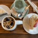 애견동반한옥템플스테이 이미지