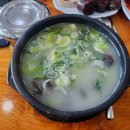 지애약국 네이버블로그