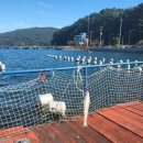 선창해상낚시터 이미지