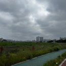 영천게이트볼장 이미지