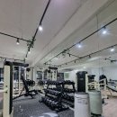 아일랜드짐 이미지