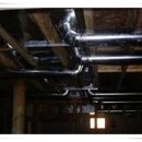 제주흙돼지 이미지