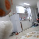 무한뽑기 이미지