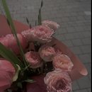 Image-回歸 네이버블로그