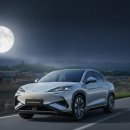 코리아에고 이미지