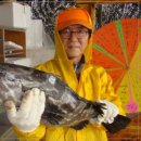 어심바다낚시터 이미지