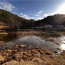 전주 두꺼비 이미지